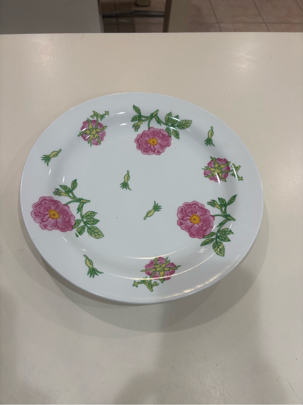 Rare Richard Ginori Italy plates